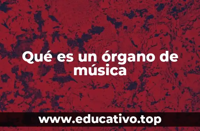 Qué es un órgano de música