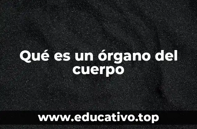 Qué es un órgano del cuerpo