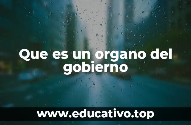 Que es un organo del gobierno