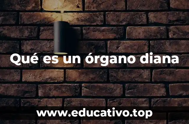 Qué es un órgano diana