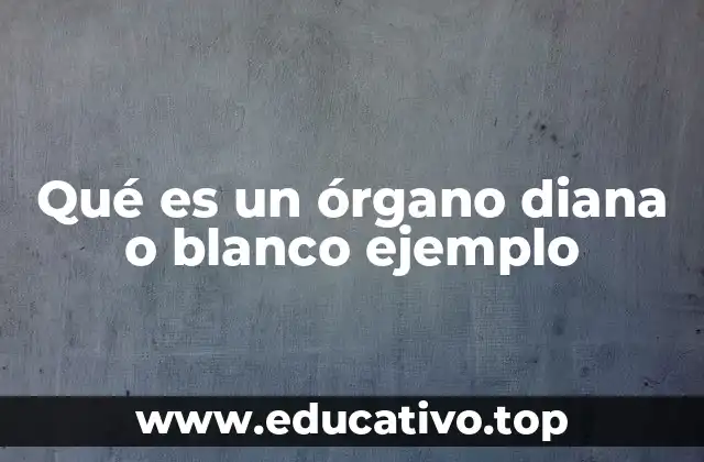 Qué es un órgano diana o blanco ejemplo