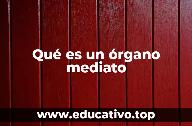Qué es un órgano mediato