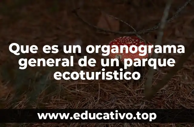 Cómo se integra la estructura de un parque ecoturístico