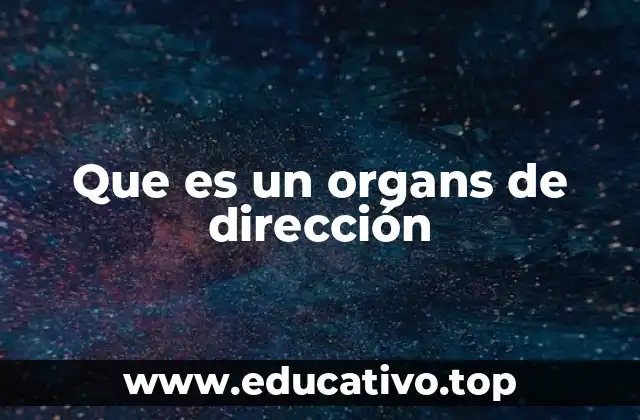 Que es un organs de dirección