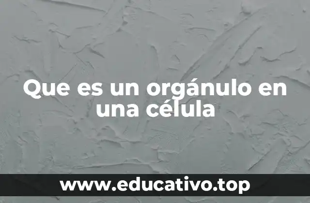 Que es un orgánulo en una célula