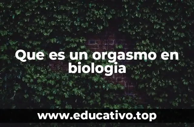 Que es un orgasmo en biologia