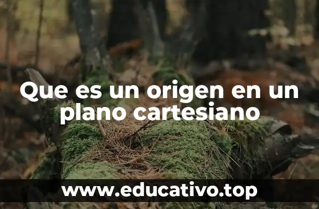 Que es un origen en un plano cartesiano
