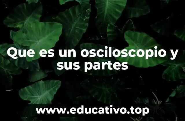 Que es un osciloscopio y sus partes