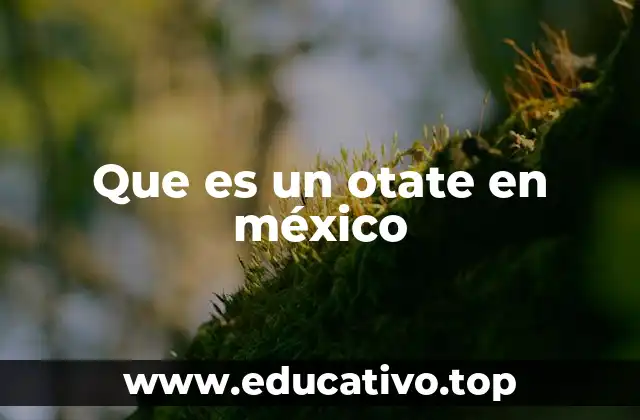 Que es un otate en méxico