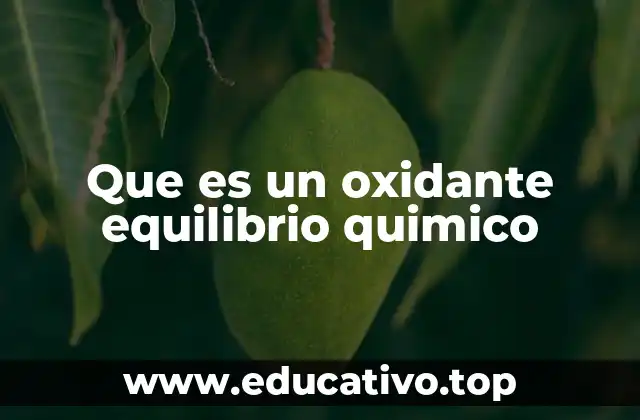 Que es un oxidante equilibrio quimico