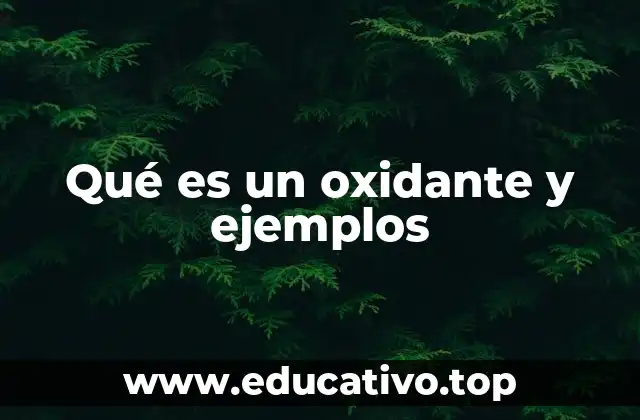 Qué es un oxidante y ejemplos