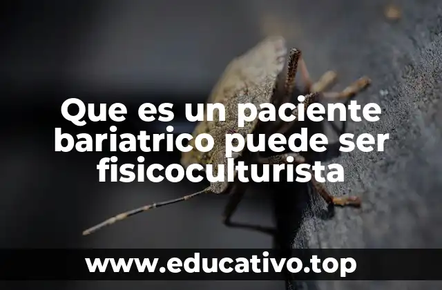 Que es un paciente bariatrico puede ser fisicoculturista