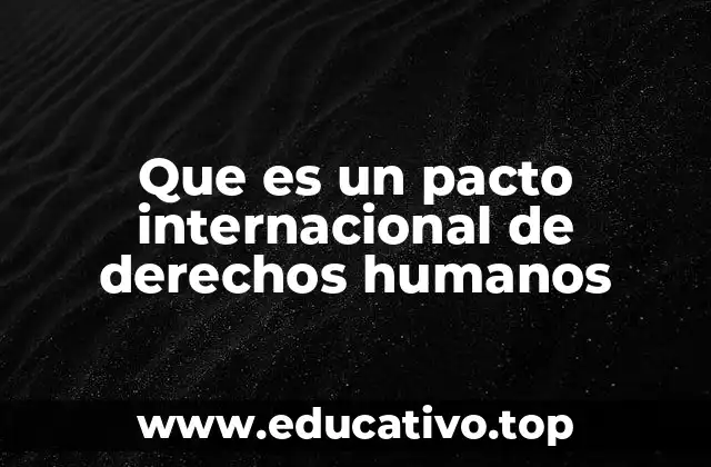 Que es un pacto internacional de derechos humanos
