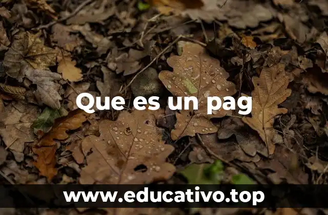 Que es un pag