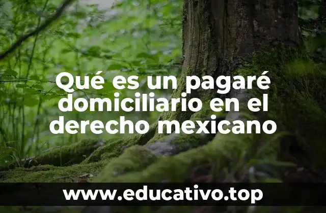 El pagaré domiciliario como instrumento de seguridad en operaciones financieras
