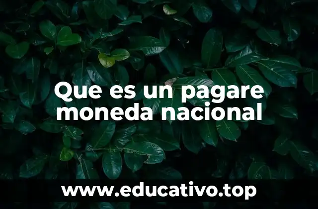 Que es un pagare moneda nacional