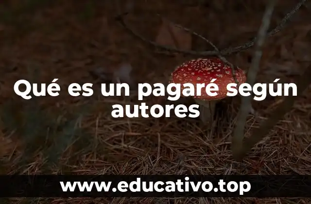 Qué es un pagaré según autores