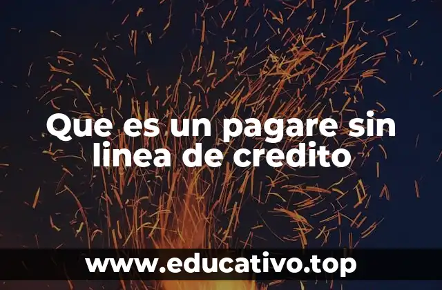 Que es un pagare sin linea de credito
