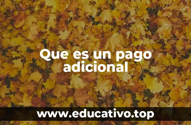 Que es un pago adicional