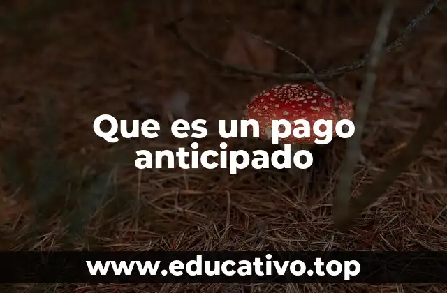 Que es un pago anticipado