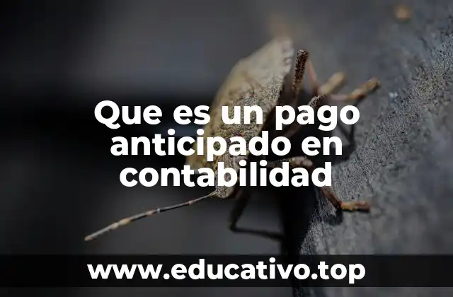 Que es un pago anticipado en contabilidad