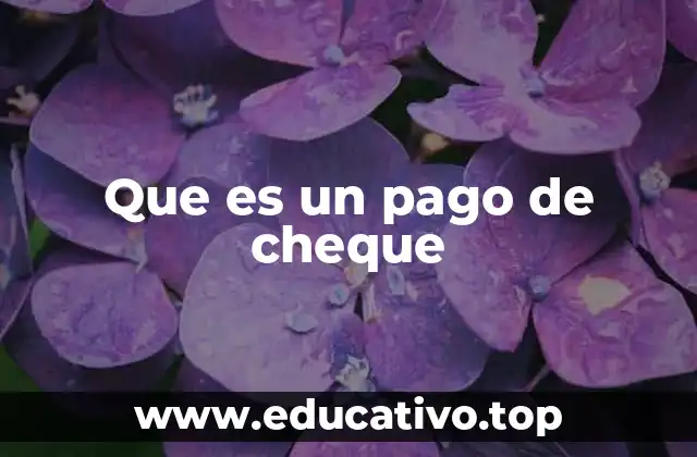 Que es un pago de cheque
