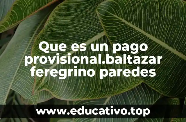 Que es un pago provisional.baltazar feregrino paredes