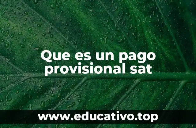 Que es un pago provisional sat