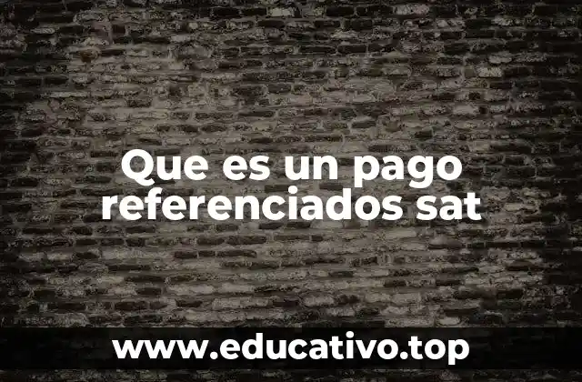 Que es un pago referenciados sat