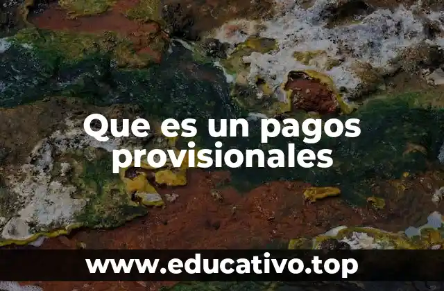 Que es un pagos provisionales