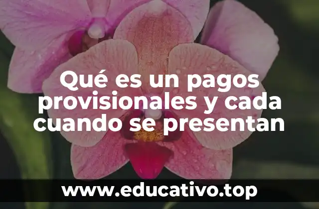 Qué es un pagos provisionales y cada cuando se presentan