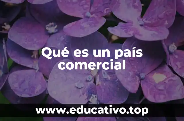 Qué es un país comercial