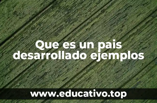 Que es un pais desarrollado ejemplos