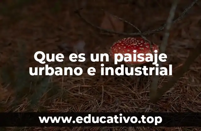 Que es un paisaje urbano e industrial