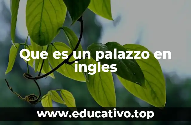 Que es un palazzo en ingles