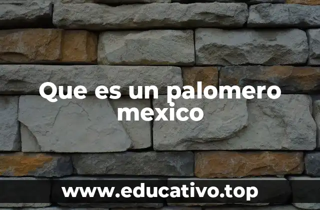 Que es un palomero mexico