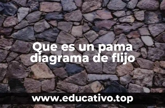 Que es un pama diagrama de flijo