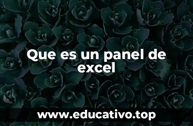 Que es un panel de excel