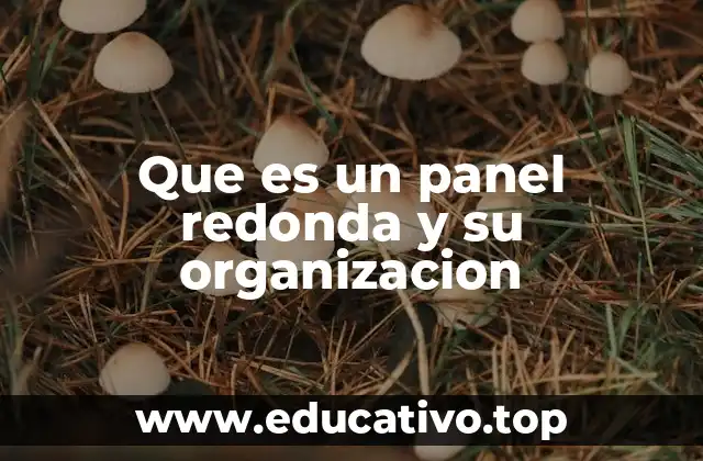 Que es un panel redonda y su organizacion