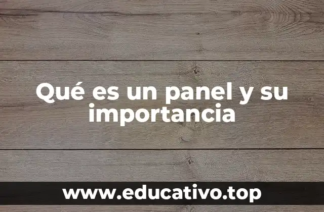 Qué es un panel y su importancia