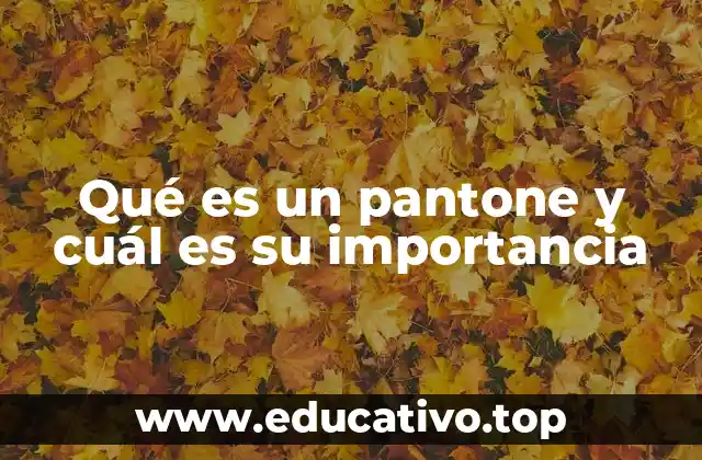 Qué es un pantone y cuál es su importancia