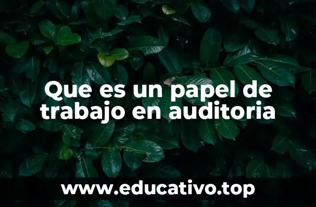 Que es un papel de trabajo en auditoria