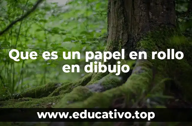 Que es un papel en rollo en dibujo