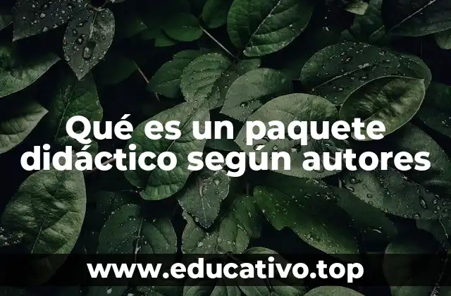 Qué es un paquete didáctico según autores