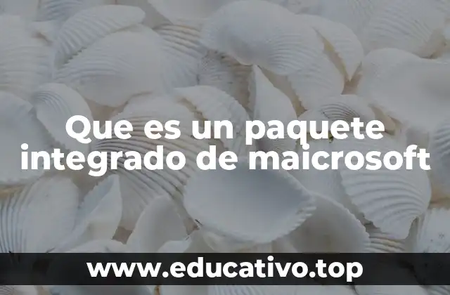 Que es un paquete integrado de maicrosoft