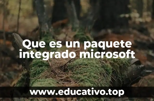 Que es un paquete integrado microsoft