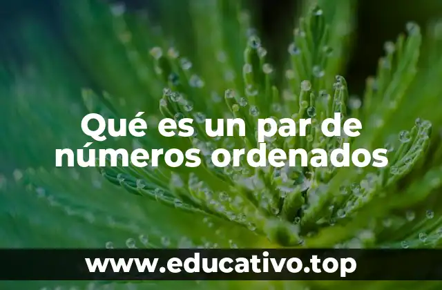 Qué es un par de números ordenados