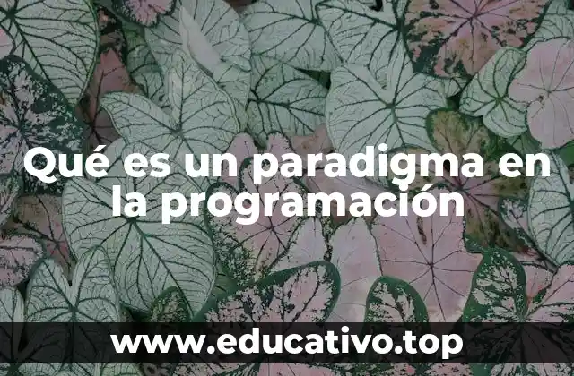 Qué es un paradigma en la programación