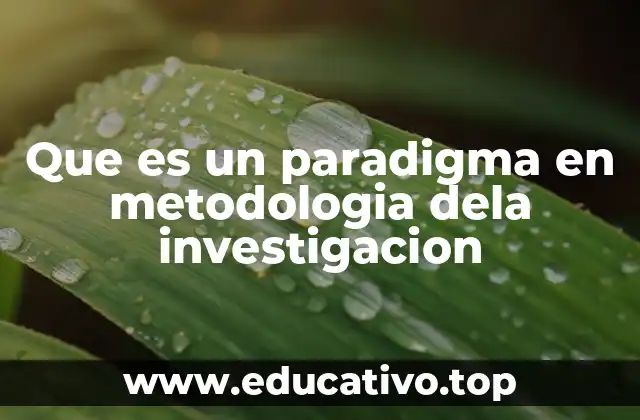Que es un paradigma en metodologia dela investigacion