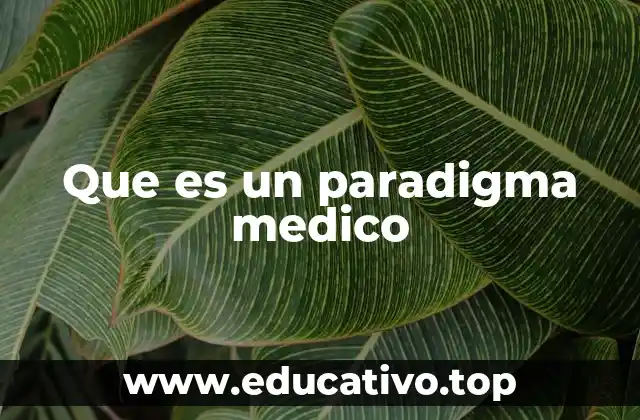 Que es un paradigma medico